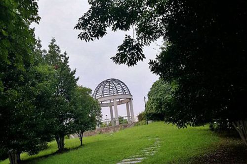 山东发布首个省级土壤污染防治地方标准