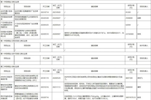 绵阳中亚化工厂地块土壤污染治理与修复项目施工评标结果公示！