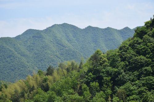 广晟有色大宝山矿以“四化”推进智慧绿色矿山建设