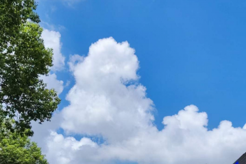 生态环境部：8月下半月空气首要污染物为臭氧