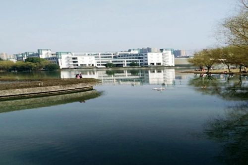 广东投入超300亿元！持续支持重大生态工程项目实施！