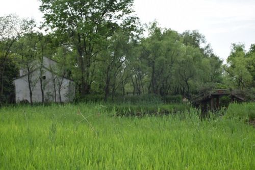 2025年完成农村生活污水治理率50%以上，湖北举行政策解读发布会！