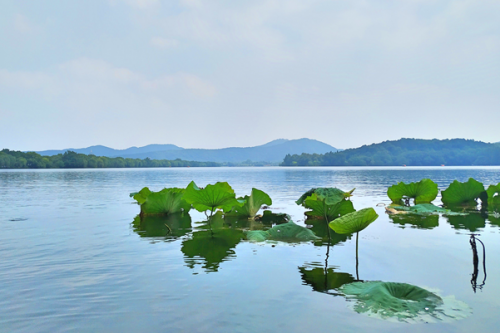 生态环境部公布第八批国家生态环境科普基地名单