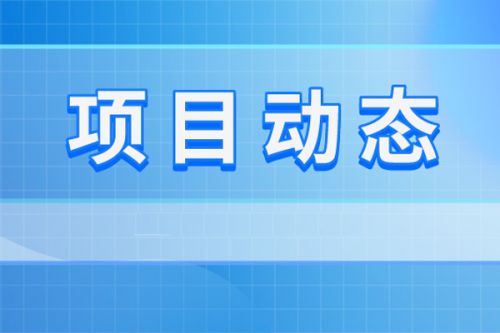 陇南市西和县生活垃圾焚烧发电项目设计招标公示