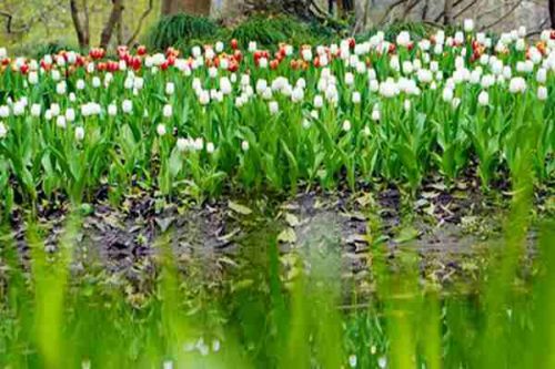 淮北市多措并举持续打好碧水保卫战