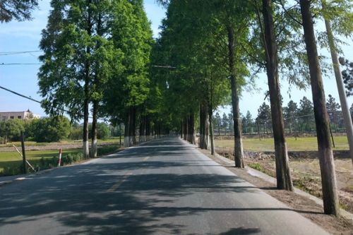 成交价1.3亿！玉禾田、福龙马分获徐州市沛县城区道路(五位一体)市场化保洁服务项目