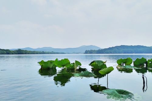 推动数字化转型，中国南水北调集团与中国联通集团签订战略合作框架协议