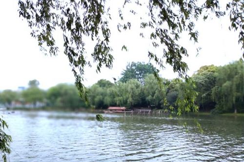 浙江与安徽11年“赌约”升级，全国首个跨省流域生态补偿需求再爆发