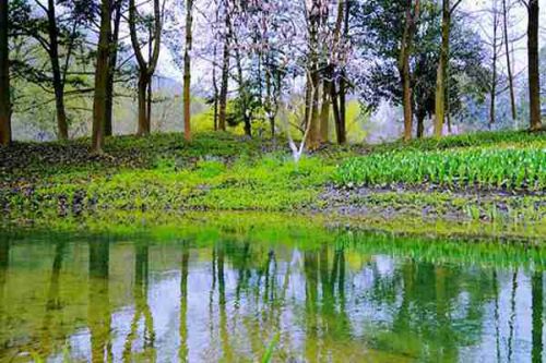 超10亿！福建一城乡供水一体化项目招标