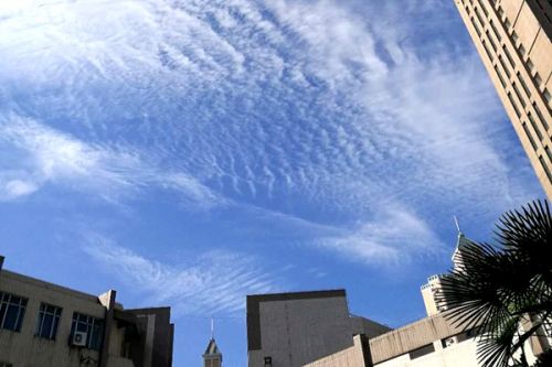 专家解读 | 聚焦关键领域 加强示范引领 着力锻造绿色低碳产业竞争新优势