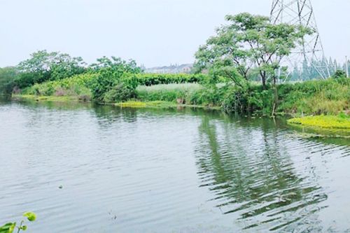 图文实录 | 云南省生态环境厅召开深入打好污染防治攻坚战工作进展情况新闻发布会