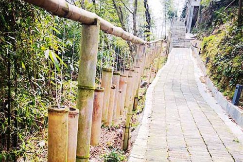 中国循环经济协会征集首批“以竹代塑”团体标准项目提案