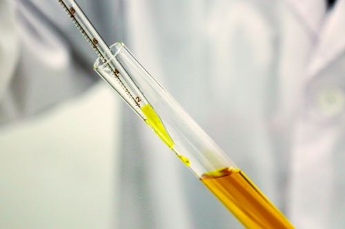 国家电投：开创清洁能源事业高质量发展的新格局