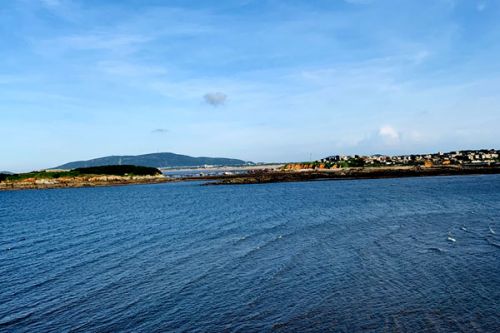 CIBC｜“生态与可持续发展”分论坛在青岛举办