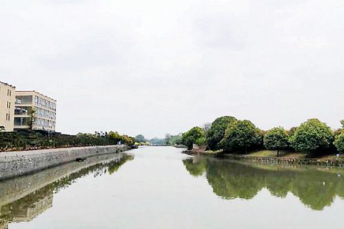 上海徐汇区持续推进入河排污口排查整治