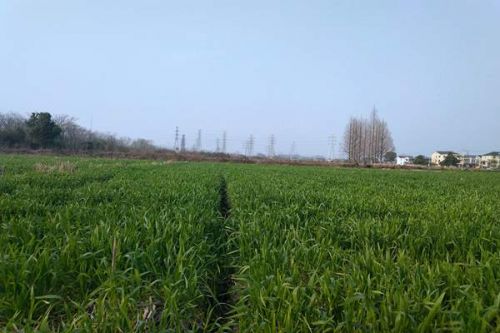 望江县打好“绿色生态牌”，奏响“乡村振兴曲”