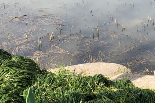 遂平县深入打好碧水保卫战 全力改善水环境质量