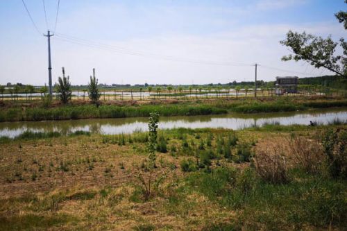 宁夏：扎实开展黑臭水体环境保护专项行动 巩固提升城市黑臭水体治理成效