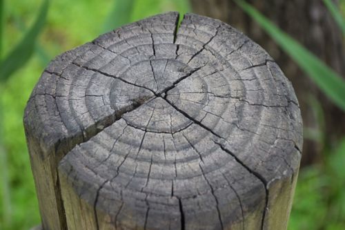 贵州省生态环境厅强化暂不开发利用地块土壤污染风险管控