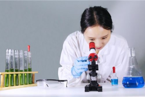 经过改造后的植物会变成红色以警告遭遇环境污染物