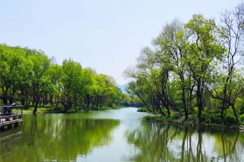 杭州西湖翠苑街道：“多举措”推进治理，河道水质显著改善