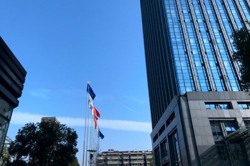 江苏碳汇司法修复基地典型案例入选江苏海事司法与行政执法服务保障“一带一路”高质量发展十大典型案事例！