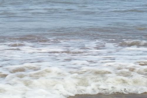 浙江省绍兴市柯桥区：“一张表”打造生态环境统计与排污许可管理衔接“柯桥模式”