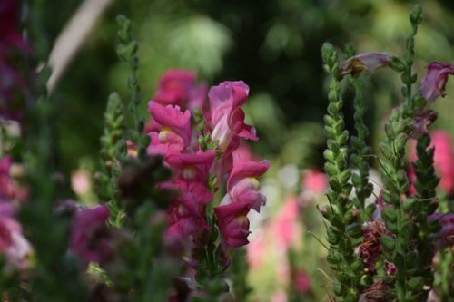 排污口监督管理 | ​首创农田退水“零直排”模式 打造农业排口治理嘉兴样板