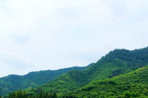 《洛阳市推动生态环境质量稳定向好三年行动实施方案(2023—2025年)》印发