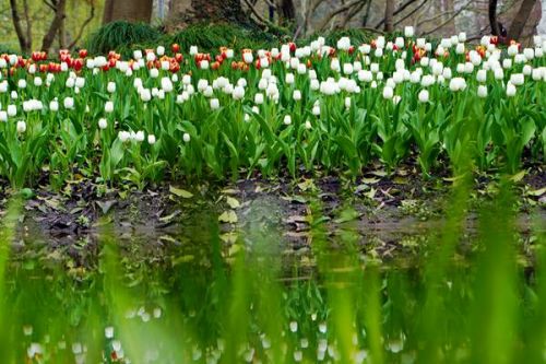 河北相关部门解读3项污染排放标准！涉永定河、潮白河、滦河及冀东沿海流域