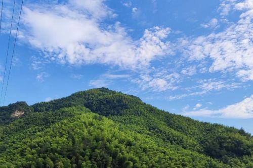 河南公开中央第二生态环境保护督察组交办第五批群众举报件办理情况