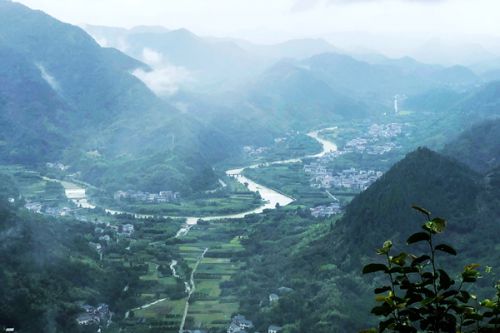 湛江市多措并举 全力推进排污许可提质增效