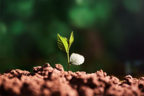 昆明市开展2023年度重点监管单位土壤、地下水污染隐患排查