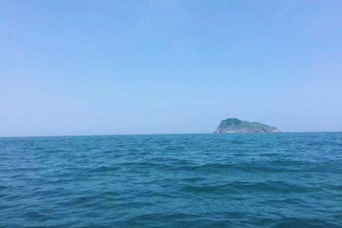 浙江省生态环境厅组织召开《海洋环境保护法》宣贯浙环报告会