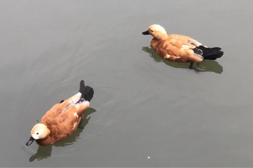 2023年度国家级生态农场评价结果公布！