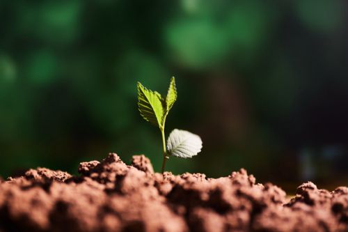 2月1日施行，有效期5年！《四川省建设用地土壤环境管理办法》更新啦