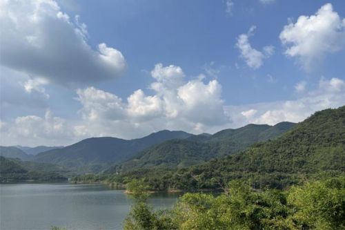 关于《江永县碳达峰实施方案》的政策解读