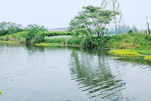 如何解读《山东省人民政府关于贯彻落实“四水四定”原则若干措施的通知》？