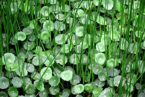 截止日期2月5日！2024年全国节能宣传周主题征集中