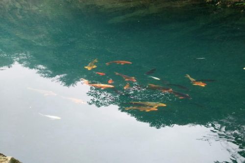 【干货】活性污泥系统污泥回流池怎么控制？