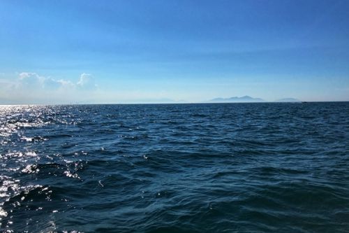 中临建设集团联合体中标临汾尧都高新区大阳高端装备制造产业园污水处理厂及配套设施建设项目一期EPC！