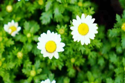 一户一档！讷河市2023年度清洁取暖工作进入收尾阶段