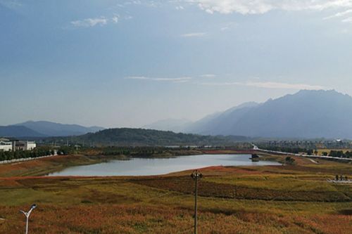 2023年河南省建设用地土壤污染风险评估报告评审通过情况