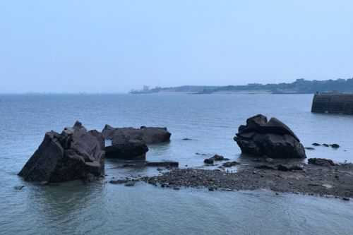 《宁德市海水生态养殖管理规定》3月1日起施行