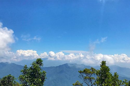 16部门联合印发！湖北省适应气候变化行动方案出炉