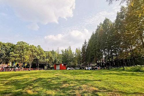 COP15主席、生态环境部部长黄润秋在第六届联合国环境大会期间积极推动“昆明-蒙特利尔全球生物多样性框架”落实