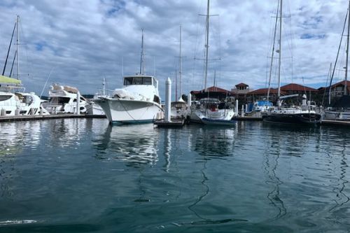 聚焦全国两会 | 陈红枫：未雨绸缪加强氟化物排放管理，擦亮巢湖“名片”