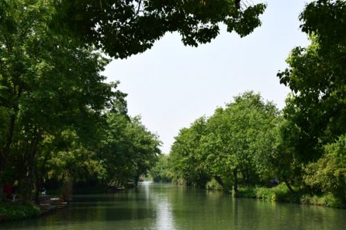 广州市2区联动！合力做好珠江水系治理与保护工作