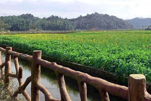 两会时间 &#183; “苏”说绿色情 | 连云港东海：打造立体式农业面源治理模式