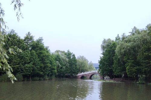 预算3亿！莘县城区水系生态环境改造提升工程(一期)(EPC)项目招标计划发布！